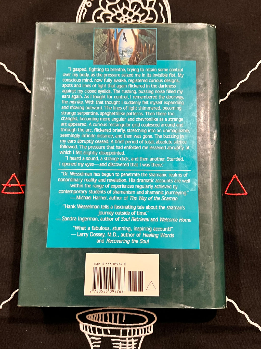 Back cover of a book photographed from above on a dark patterned surface. The cover is predominantly teal-blue with a large block of white review text,  a barcode at the bottom, and red geometric corner accents.