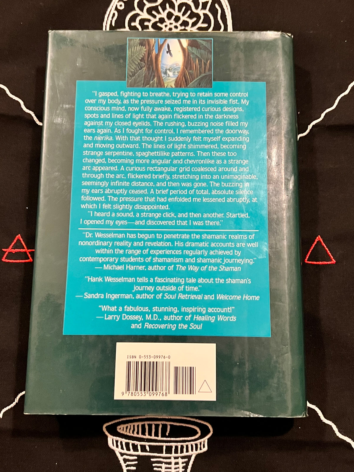 Back cover of a book photographed from above on a dark patterned surface. The cover is predominantly teal-blue with a large block of white review text,  a barcode at the bottom, and red geometric corner accents.